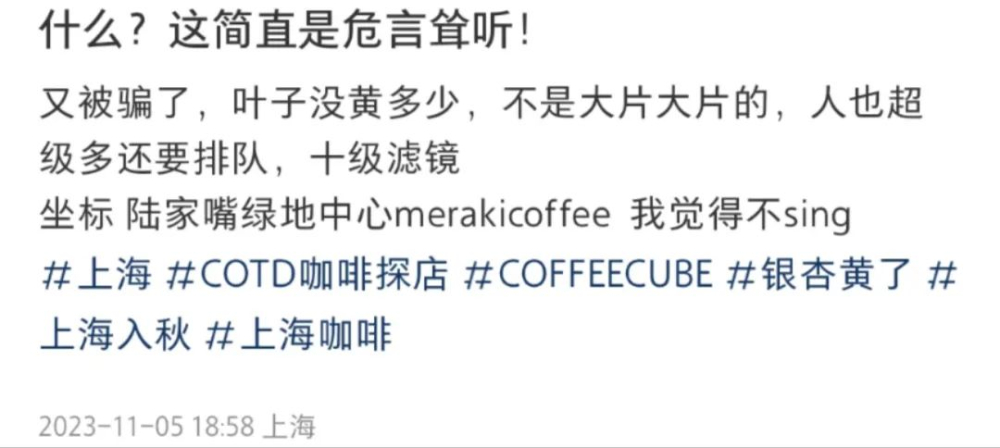 On-site Visit to Shanghai Lujiazui Ginkgo Café: Analyzing the Gap Between Instagram Photos and Reality