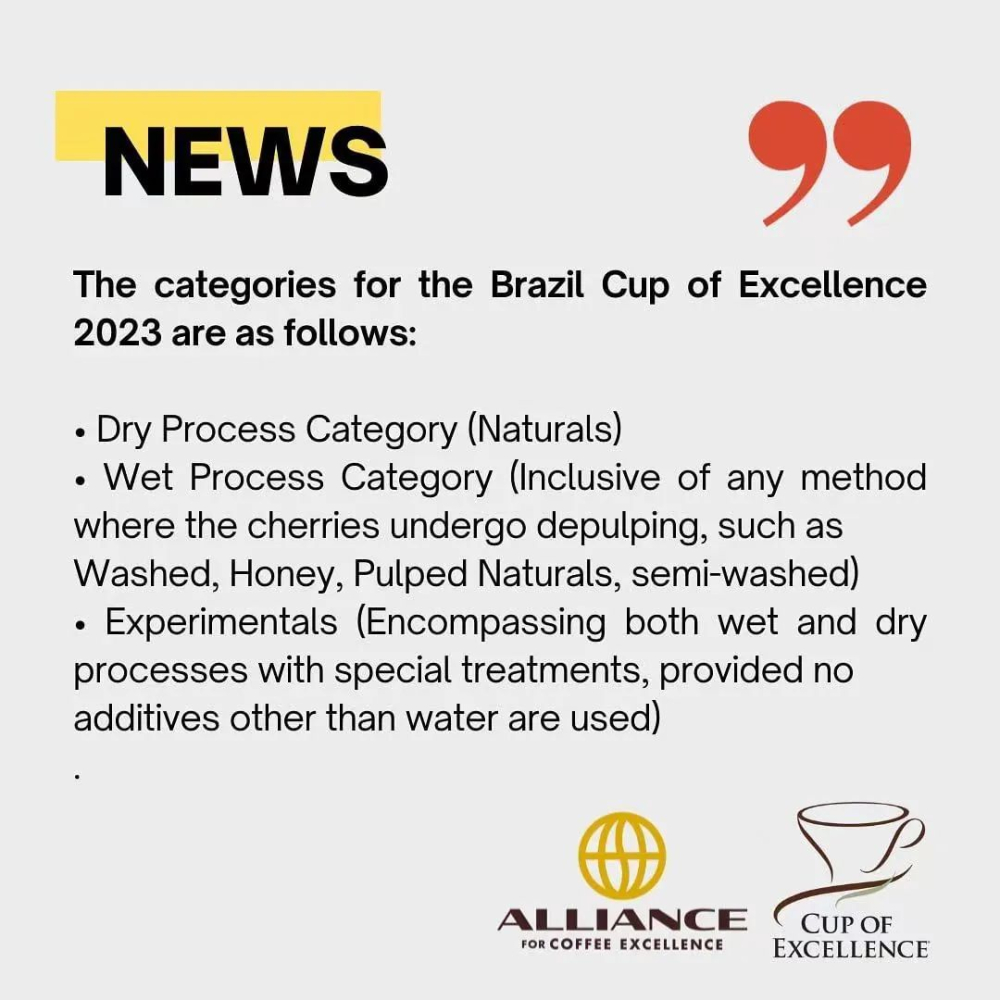 2023 Cup of Excellence Brazil Major Format Overhaul: Group Judging Reveals Top Winners in Three Processing Methods