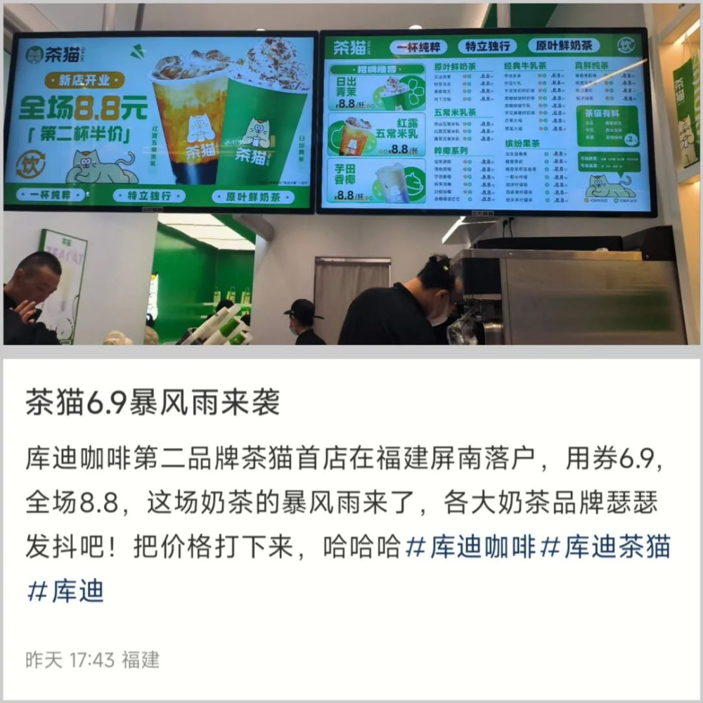 Kudi crosses over to launch tea brand 'Tea Cat'—how will its 6.9 yuan strategy impact the freshly brewed tea market?