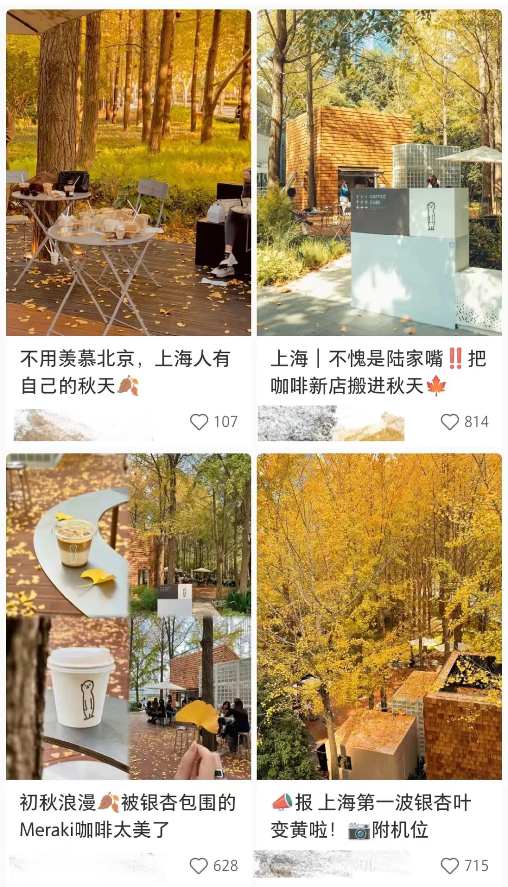 On-site Visit to Shanghai Lujiazui Ginkgo Café: Analyzing the Gap Between Instagram Photos and Reality