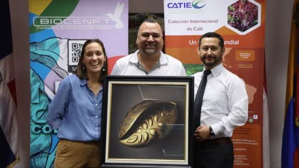 Costa Rica’s 12 Rare Coffee NFT Fundraiser to Support Research and Variety Conservation