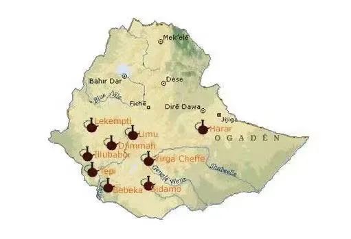 A Complete Breakdown of the Coffee Industry Chain: From Growing Regions to Estates, Learn to Decode the Secrets Behind the Coffee Bean Menu