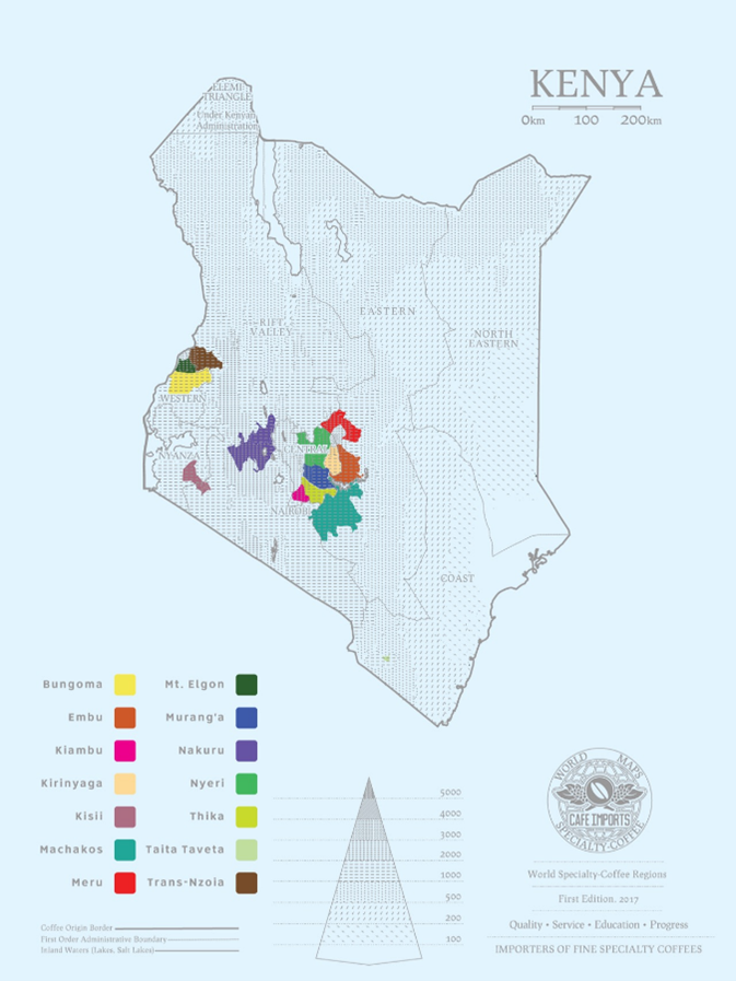 Introduction to Kenya’s Four Major Coffee Varieties | SL28, SL34, Ruiru11, and Batian: Pour Over Parameters and Flavor Analysis