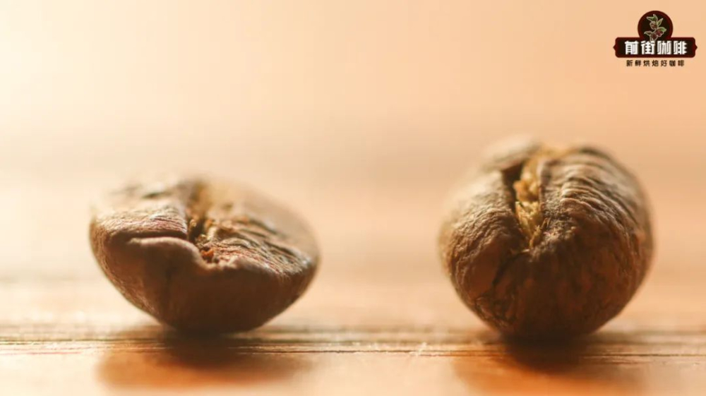 What’s the difference between peaberry and flat beans? Debunking the myth of coffee bean genders and exploring their flavor profiles