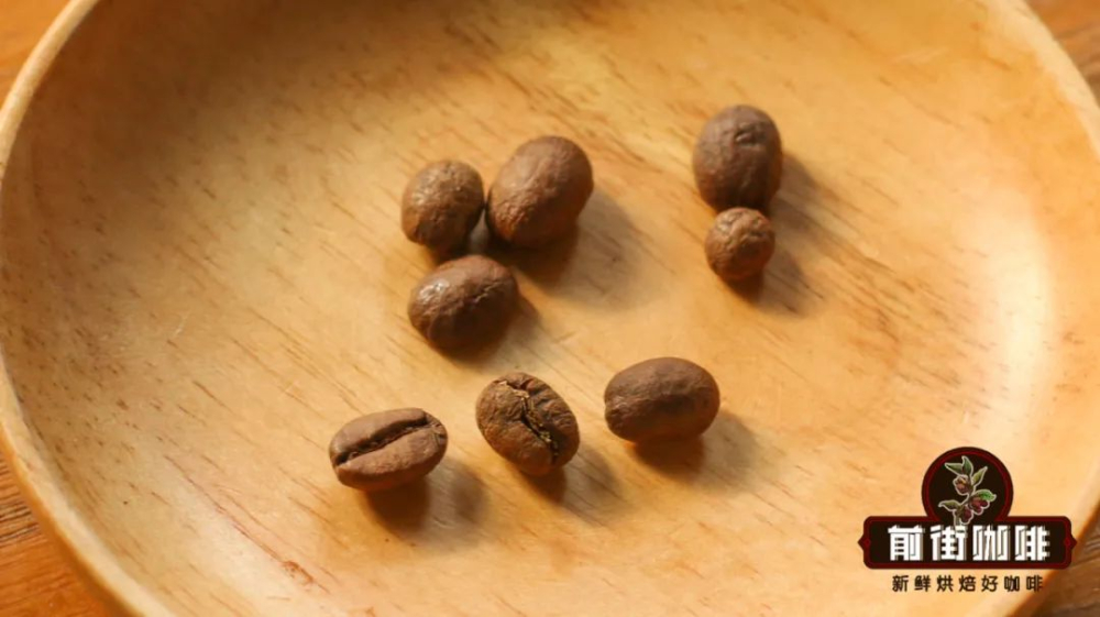 Analysis of Coffee Bean Shapes: The Causes, Grades, and Flavor Differences of Flat Beans, Peaberry Beans, and Elephant Beans