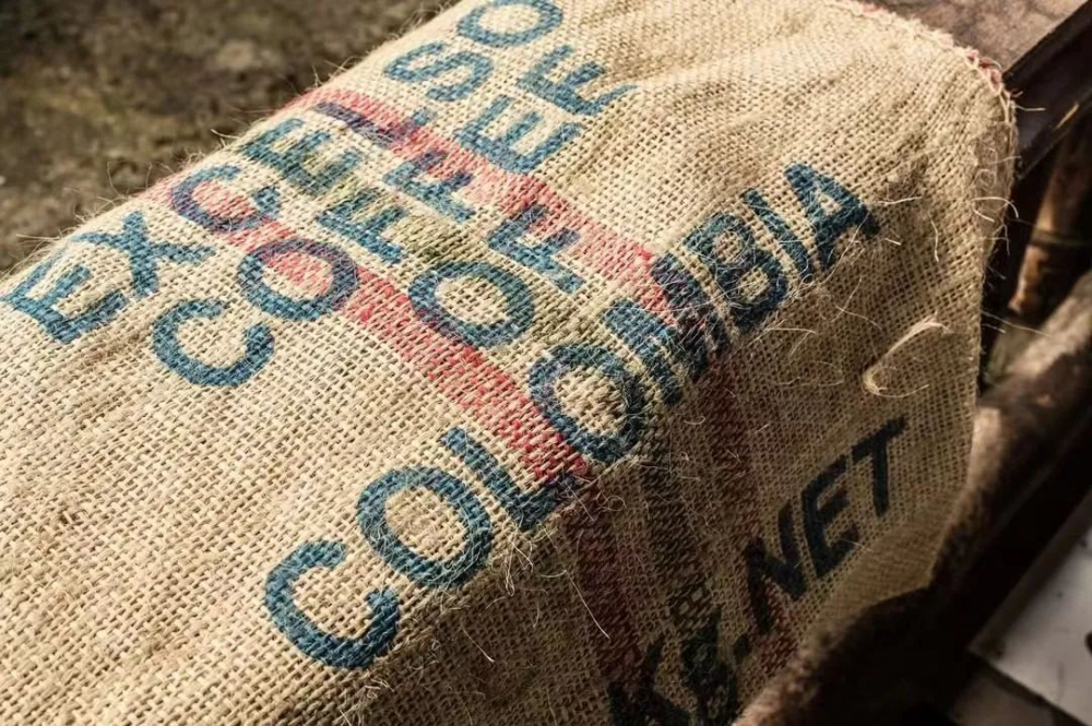 Complete Guide to Colombian Green Coffee Grading: How to Distinguish Supremo from Excelso? Understand the Screen Size Standards Once and for All