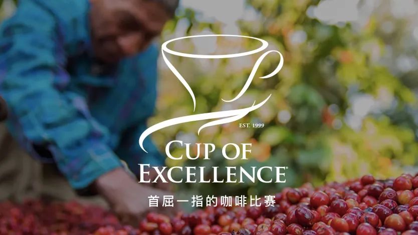 In-depth Analysis of the COE Excellence Cup Competition: A Comprehensive Guide from Scoring Criteria to Auction Process