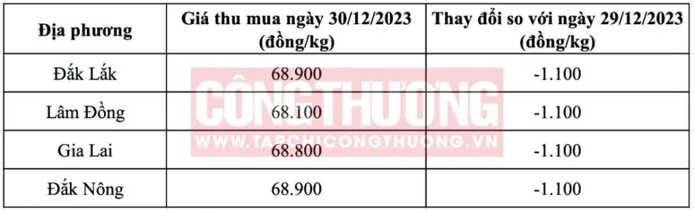 Behind the Softening of Vietnamese Coffee Prices: Analysis of Supply Stabilization and Global Market Variables