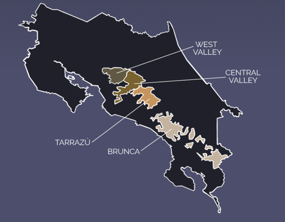 A Beginner's Guide to Costa Rica's Tarrazú Region: Exploring Terroir and the Flavors of Washed Beans