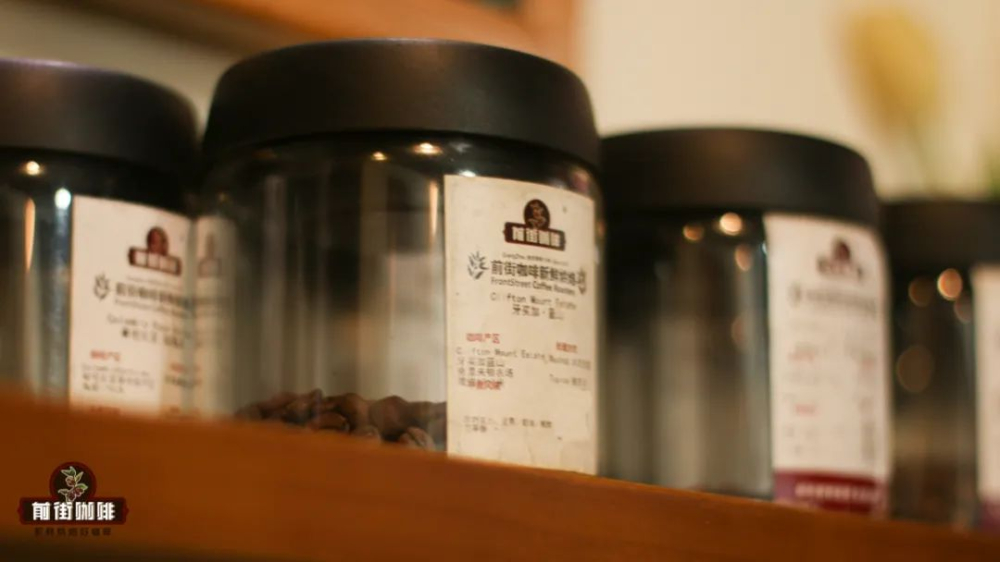 How to Identify Authentic Jamaican Blue Mountain Coffee | How to Choose Genuine Beans After Japan’s 30-Year Monopoly
