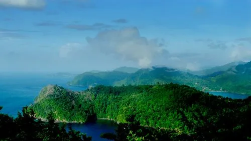 Jamaica Blue Mountain Coffee Region Guide: A Comprehensive Overview of Flavor, Legal Designation, and Cultivation Evolution