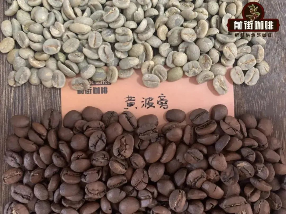 Analysis of the Yellow Bourbon Coffee Variety: Its Evolutionary Relationship with Red Bourbon and Typica, and Flavor Characteristics