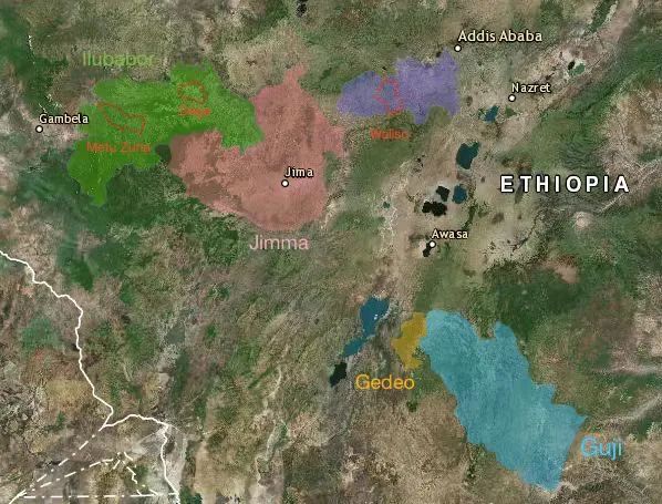 Analysis of Ethiopia's 74 Series Coffee Varieties & Practical Guide to Pour Over Brewing with 74158