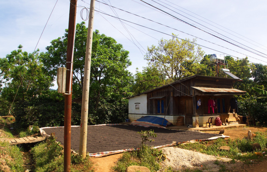 Behind Vietnamese Coffee Farmers' Reluctance to Sell: Key Factors Behind the Strength in Global Coffee Futures Prices