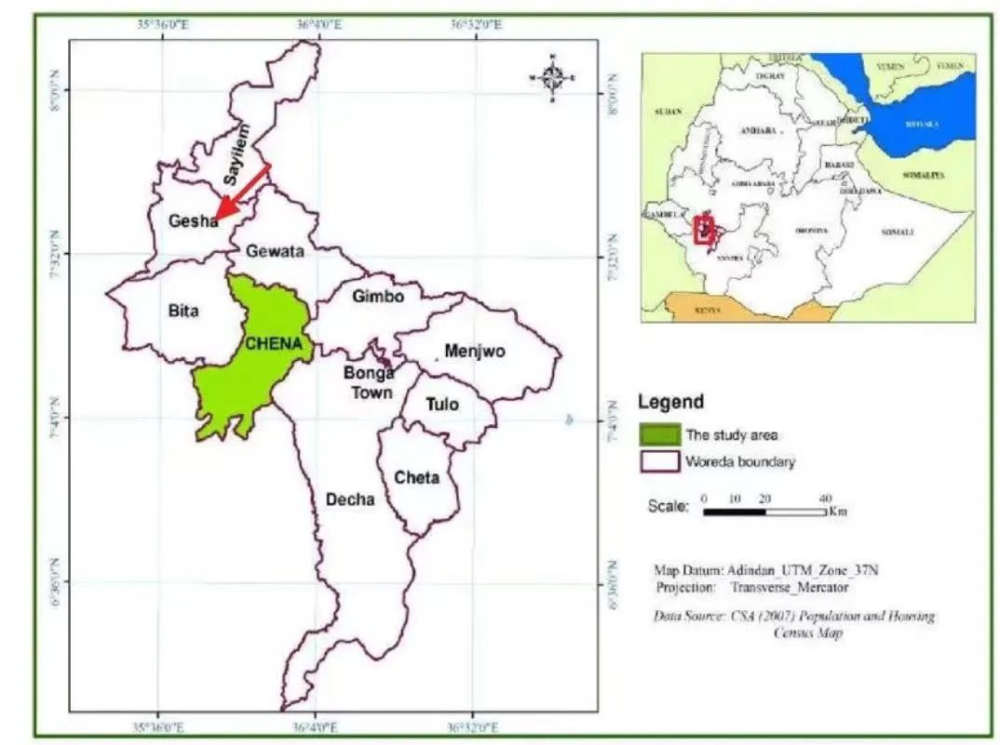 What is the connection between Ethiopia's Gesha Village's Gori Gesha and 1931, and Panama's Geisha?