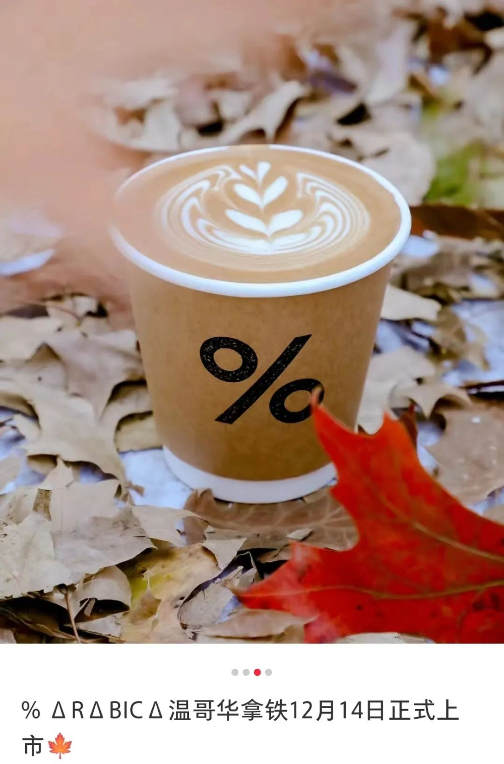 Vancouver Latte Controversy: %Arabica Launches Maple-Flavored Drink Without Entering Canada, Sparking Heated Discussion Among Chinese Netizens
