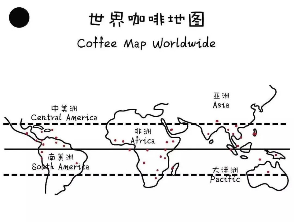 Comprehensive Guide to Latin American Coffee Regions: From Brazil and Colombia to Niche Origins Like the Dominican Republic