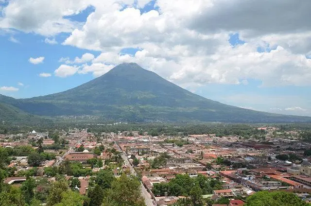 Guatemalan coffee exports reach $944 million as FTA with South Korea takes effect, 2024 production expected to hit 4 million quintals