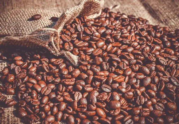 Drought in Brazil and exchange rate fluctuations drive up coffee bean prices, while transportation bottlenecks exacerbate supply challenges