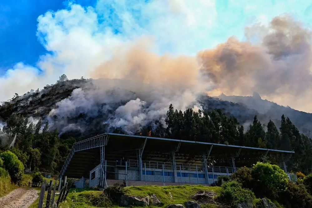 Are Colombia’s Forest Fires Impacting Coffee-Growing Regions? A Risk Analysis for the March to June Harvest Season