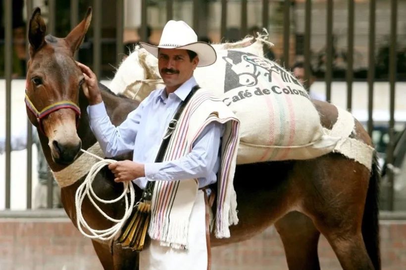 Colombia Coffee Triangle Label and Uncle Juan: A Beginner's Guide to Regional Flavors and Blended Beans