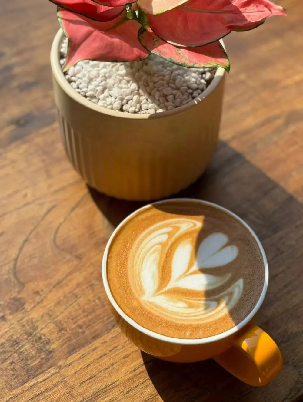 Independent coffee shop loses 40,000 monthly: Should the 2 million investment be sustained or cut? A practical analysis of operational optimization