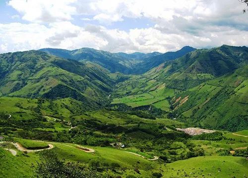 Brazilian Coffee Traceability Platform Launched: A Practical Guide to Tackling the New EU Regulations
