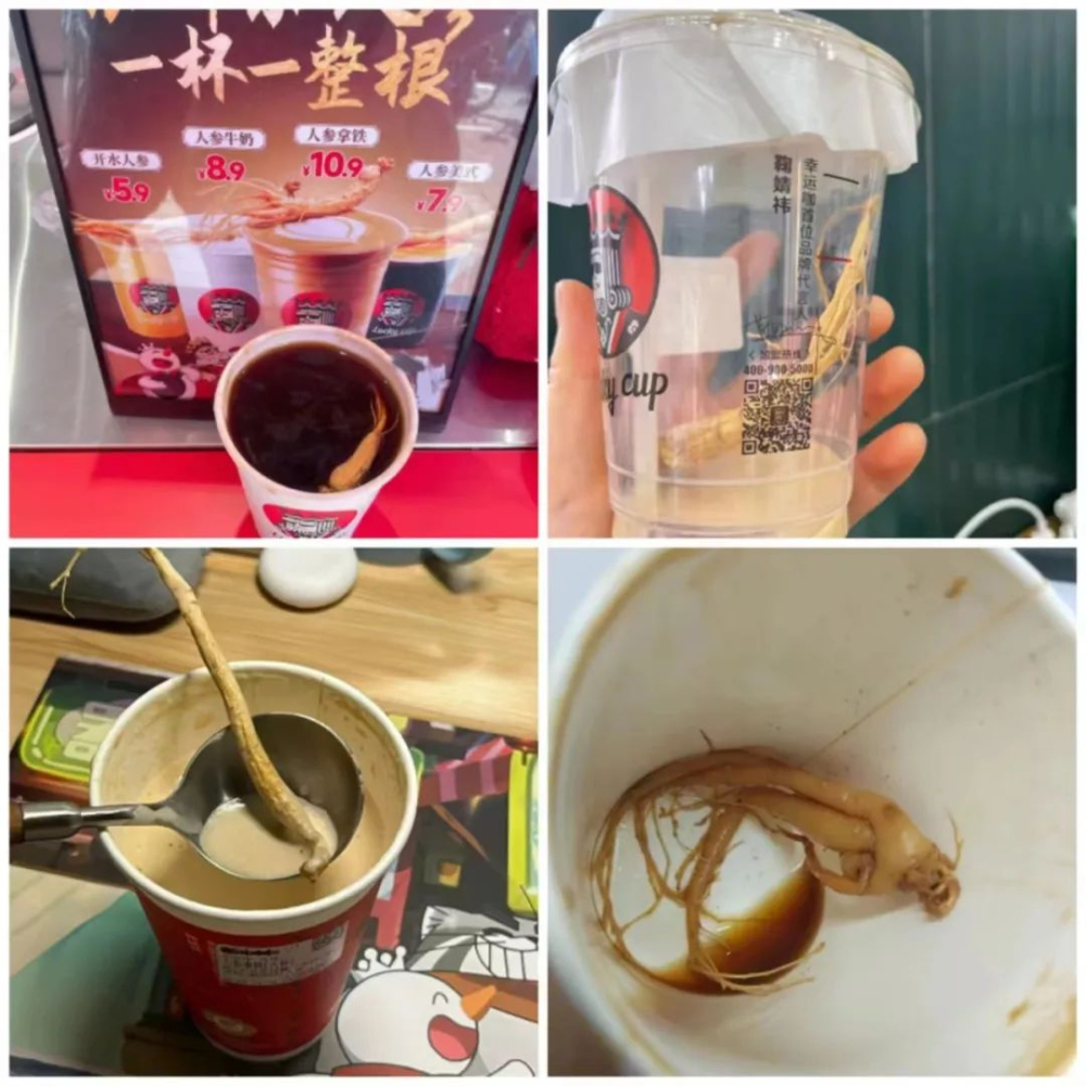 Analysis of the Health Trend Behind Ginseng Coffee: Is the Herbal Coffee Craze a Long-Term Trend or Just a Passing Fad?