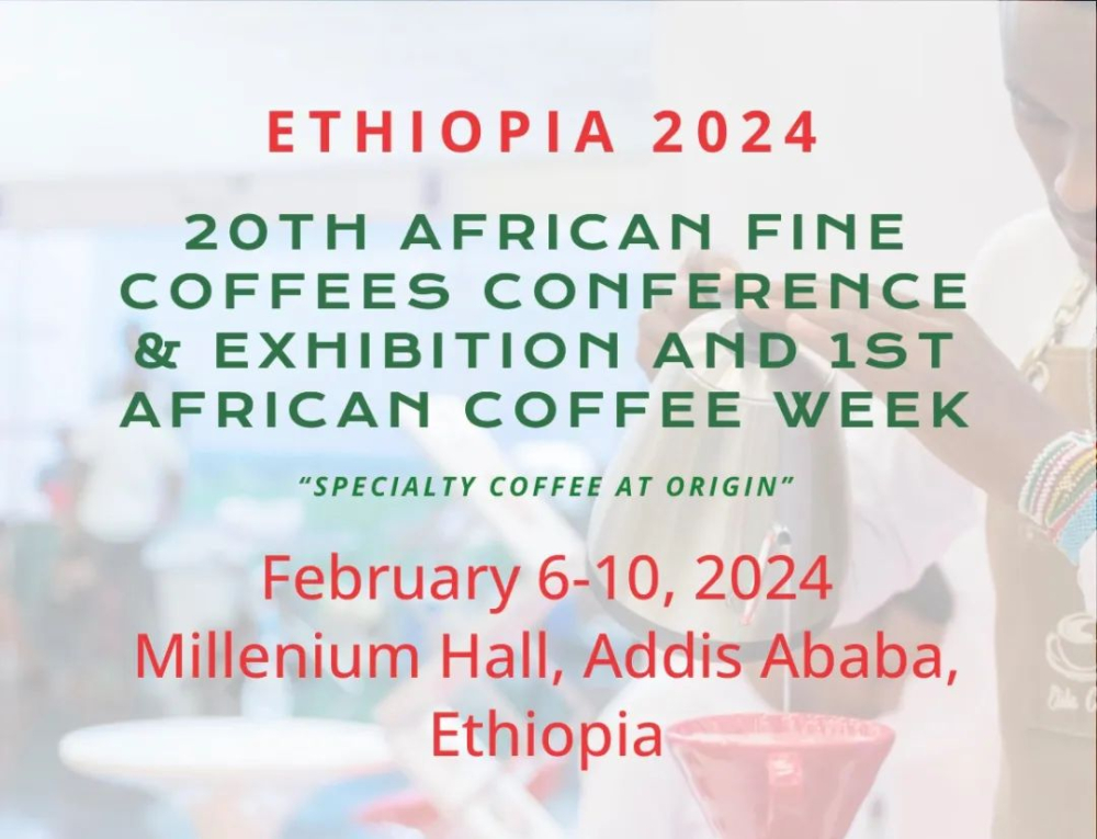 Transformation of Africa's Coffee Industry: How Special Processing Methods Enhance Export Competitiveness?