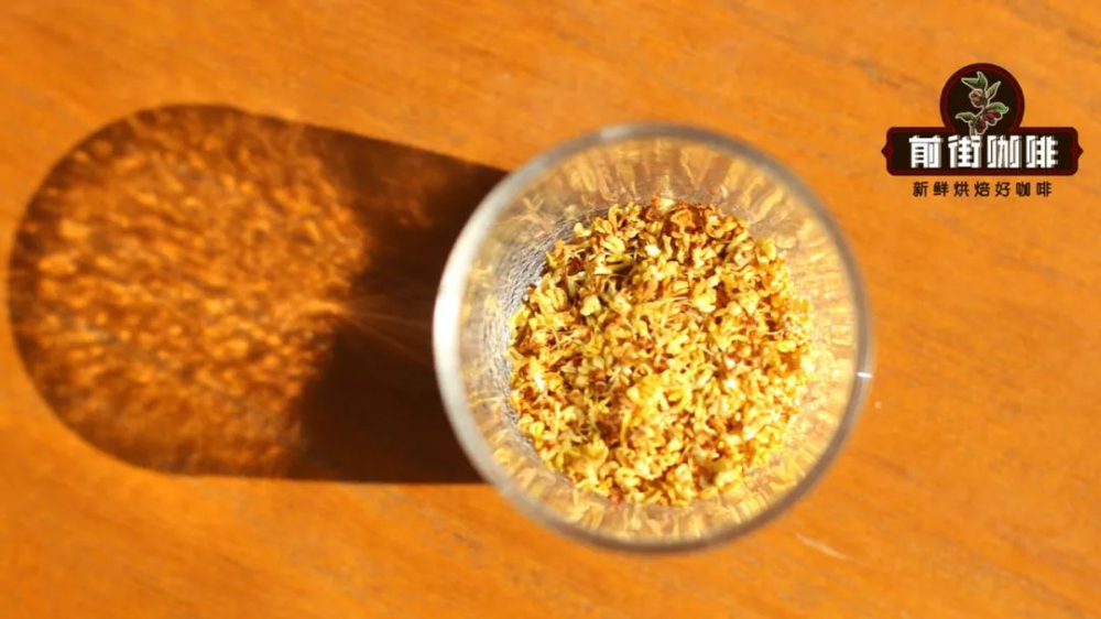 6 Creative Ways to Brew Osmanthus Coffee | A Complete Extraction Guide from Pour Over to Dirty