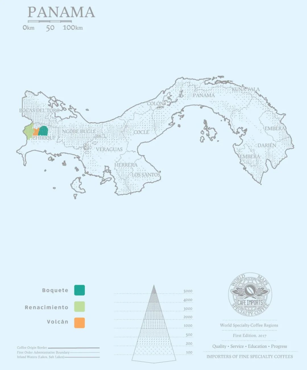 In-depth Analysis of Panama Volcan Eleta Geisha: Terroir, Processing Method, and Pour Over Recommendations