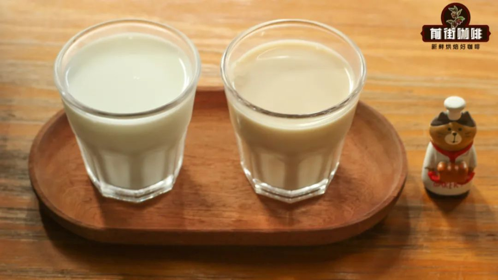 A Complete Guide to the Differences Between Oat Milk and Cow's Milk | Plant-Based Latte Frothing Techniques and Latte Art Tutorial