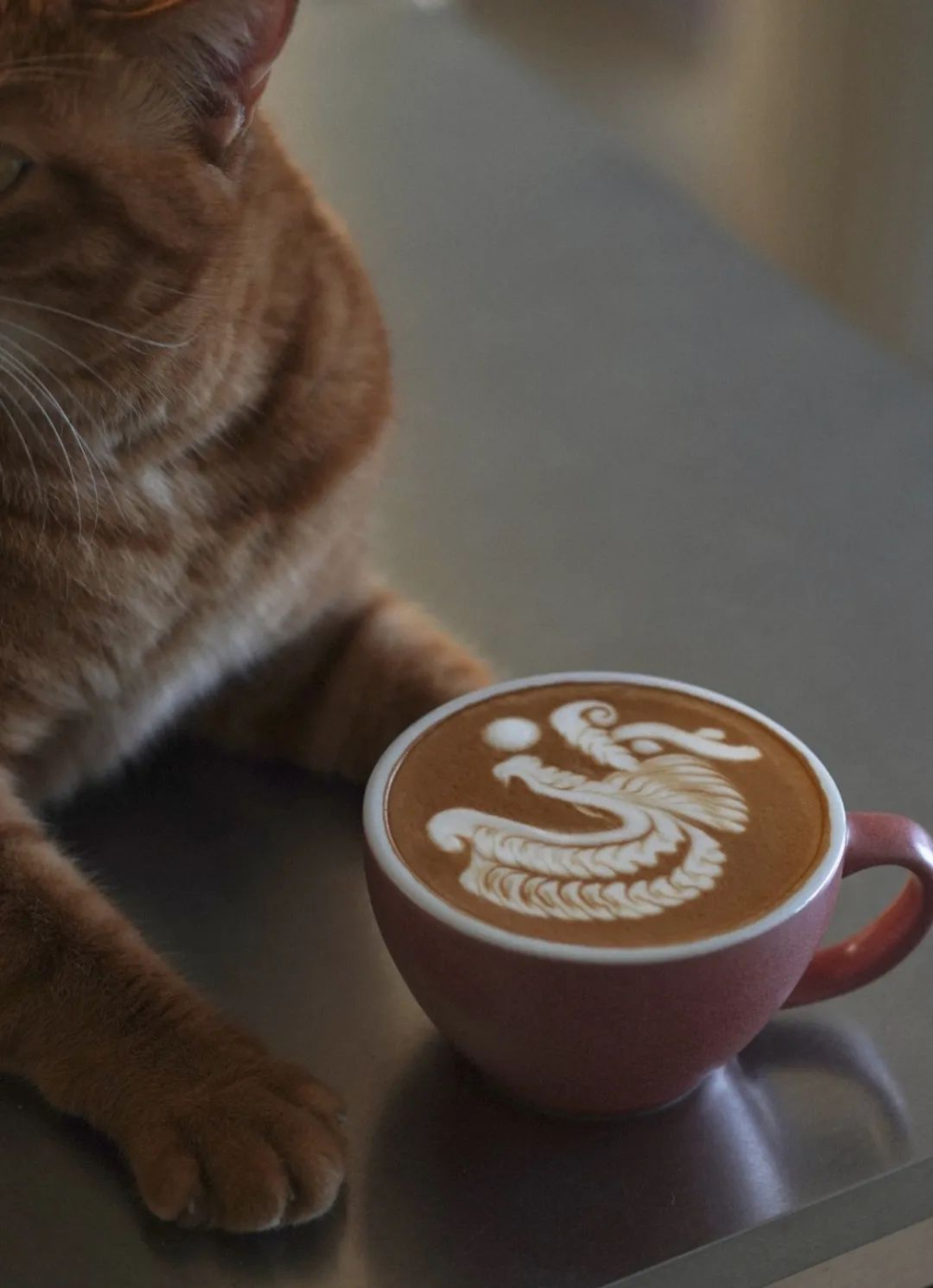 Dragon Year Latte Art Tutorial: A Guide from Heart Basics to Chinese Knots and Dragon Motif Creations
