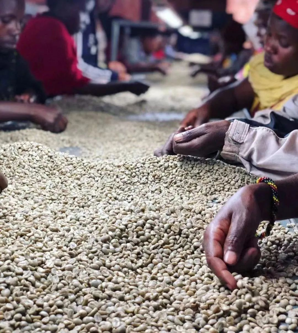 A Complete Guide to the Ethiopian Coffee Ceremony: From Green Beans to the Three Rounds of Respectful Tea