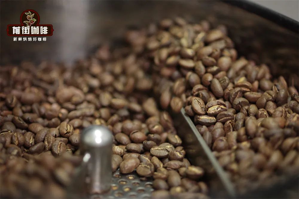 A Complete Guide to Coffee Roast Levels: From Acid-Sweet-Bitter Balance to Market Trends and Bean Variety Selection