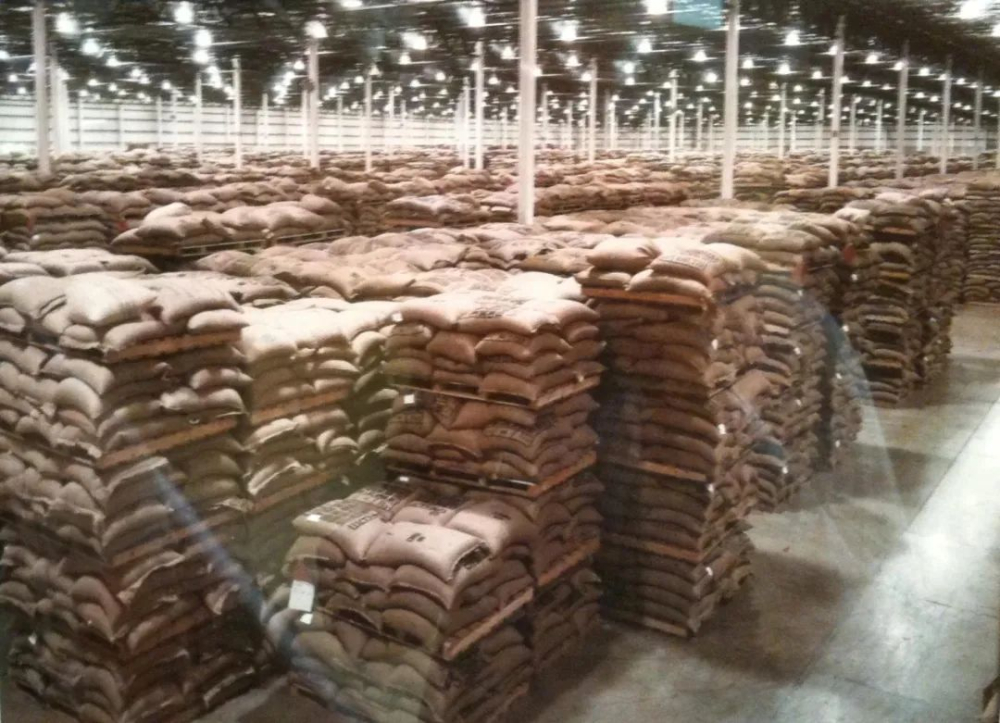 Aged Coffee Beans Flavor Analysis | Complete Guide to Maturing Mandheling Beans