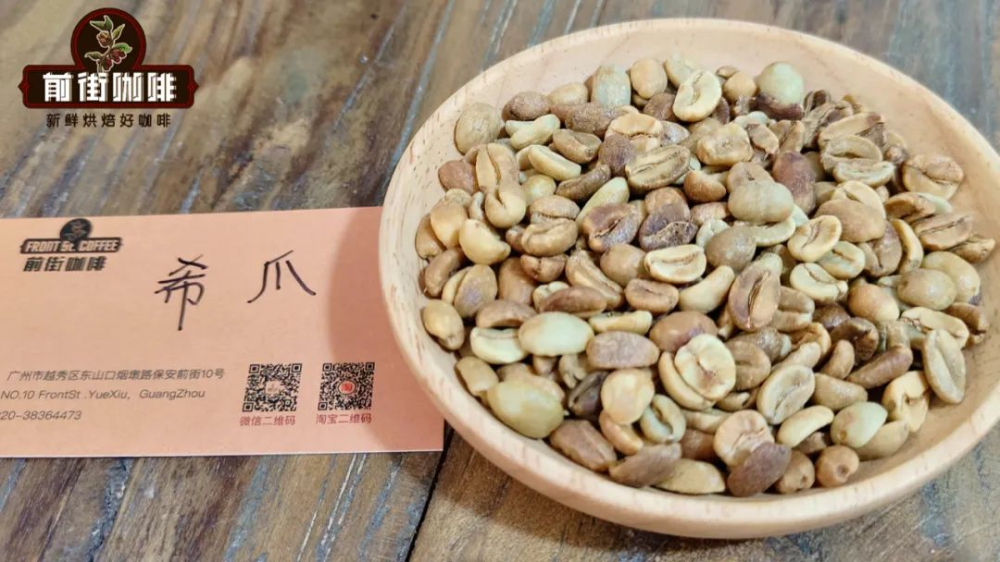 A Complete Guide to the Sidra Coffee Variety: Ecuador or Colombia? How Does Its Flavor Compare to Geisha?