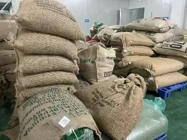 A Complete Guide to Green Coffee Bean Freshness: Grading and Storage from Fresh Beans to Aged Beans