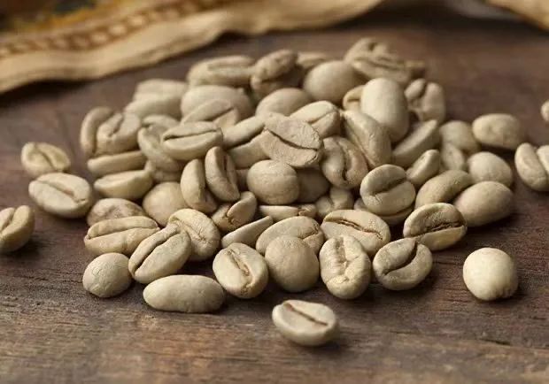 A Comprehensive Guide to Indian Malabar Monsooned Coffee Processing: From History to Flavor Development