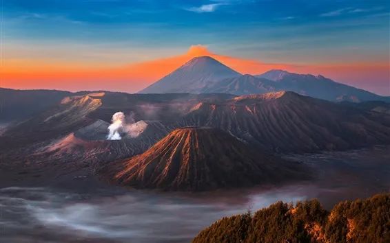 Complete Guide to Indonesian Java Coffee: Regional Characteristics, Variety Evolution, and Flavor Analysis