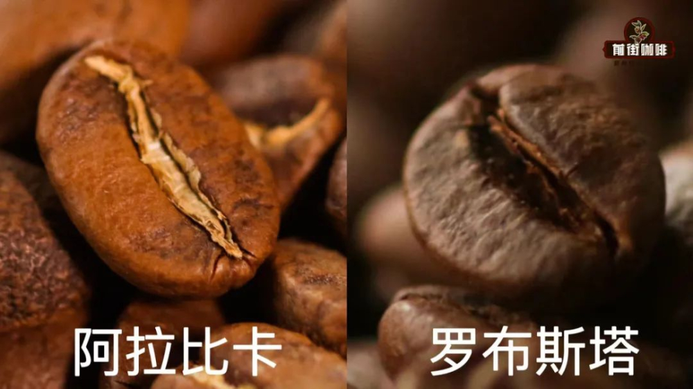 Caffeine Intake Guide: Caffeine Content Comparison Across Brewing Methods and Daily Safe Limits