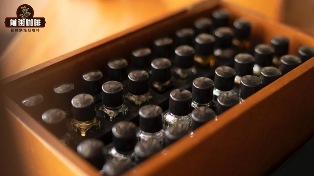 Complete Guide to the 36 Aroma Coffee Taster's Flavor Kit: Training Your Sense of Smell, Pricing, and Usage Tips