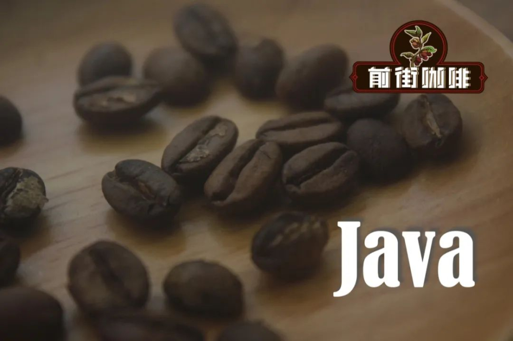 Complete Guide to Indonesian Java Coffee: Regional Characteristics, Variety Evolution, and Flavor Analysis