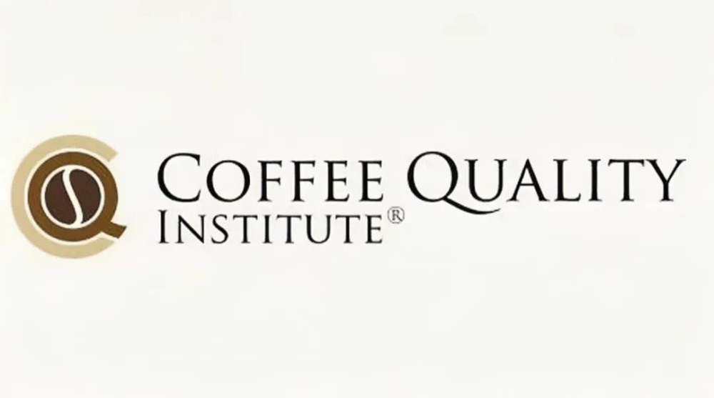 The Complete Guide to Q-Grader Certification: From Exam Subjects to a Career as a Specialty Coffee Cupping Professional