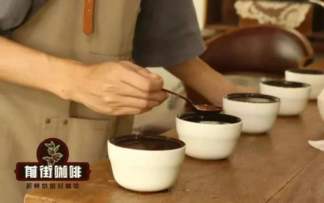 Complete Guide to Coffee Cupping: Steps, Standards, and Why Pour Over Can’t Replace It