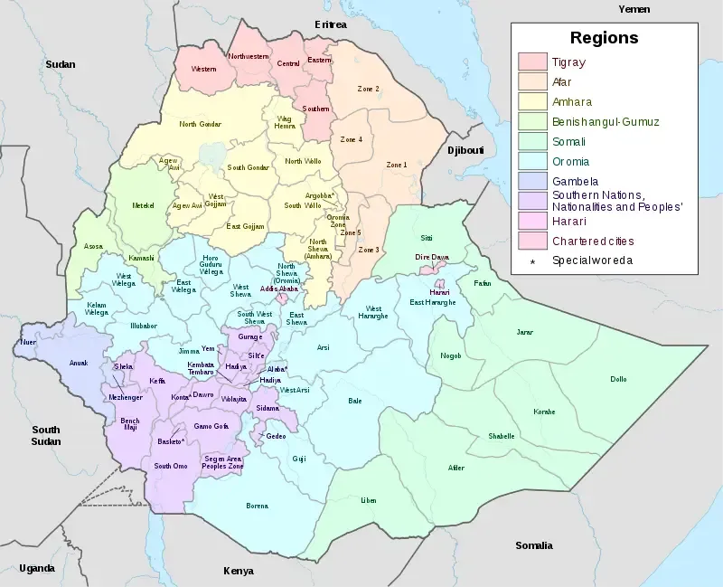Complete Guide to Ethiopian Coffee Growing Regions: Pour Over Bean Selection from Yirgacheffe to Guji