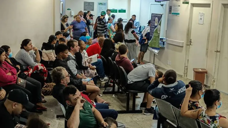 Dengue Fever Rampant in Brazil's Coffee Regions: A Comprehensive Analysis of Harvest Delays and Port Crisis
