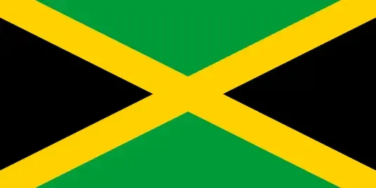 A Comprehensive Guide to Jamaican Blue Mountain No. 1 Coffee Beans: Region Environment, Variety Characteristics, and Pour Over Parameters