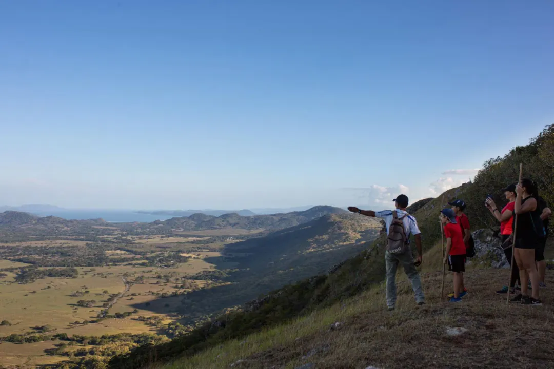 Costa Rica's Currency Plummets: The Truth Behind the Sharp Decline in Coffee Exports and Tourism Revenue