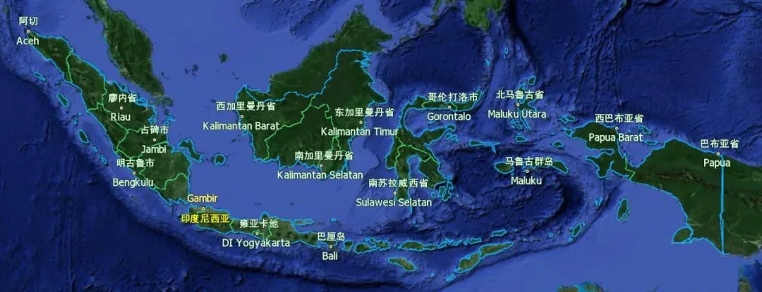 An Introduction to Indonesian Sumatra Lintong Mandheling: A Comprehensive Guide to the Region, Varieties, and Pour Over Parameters